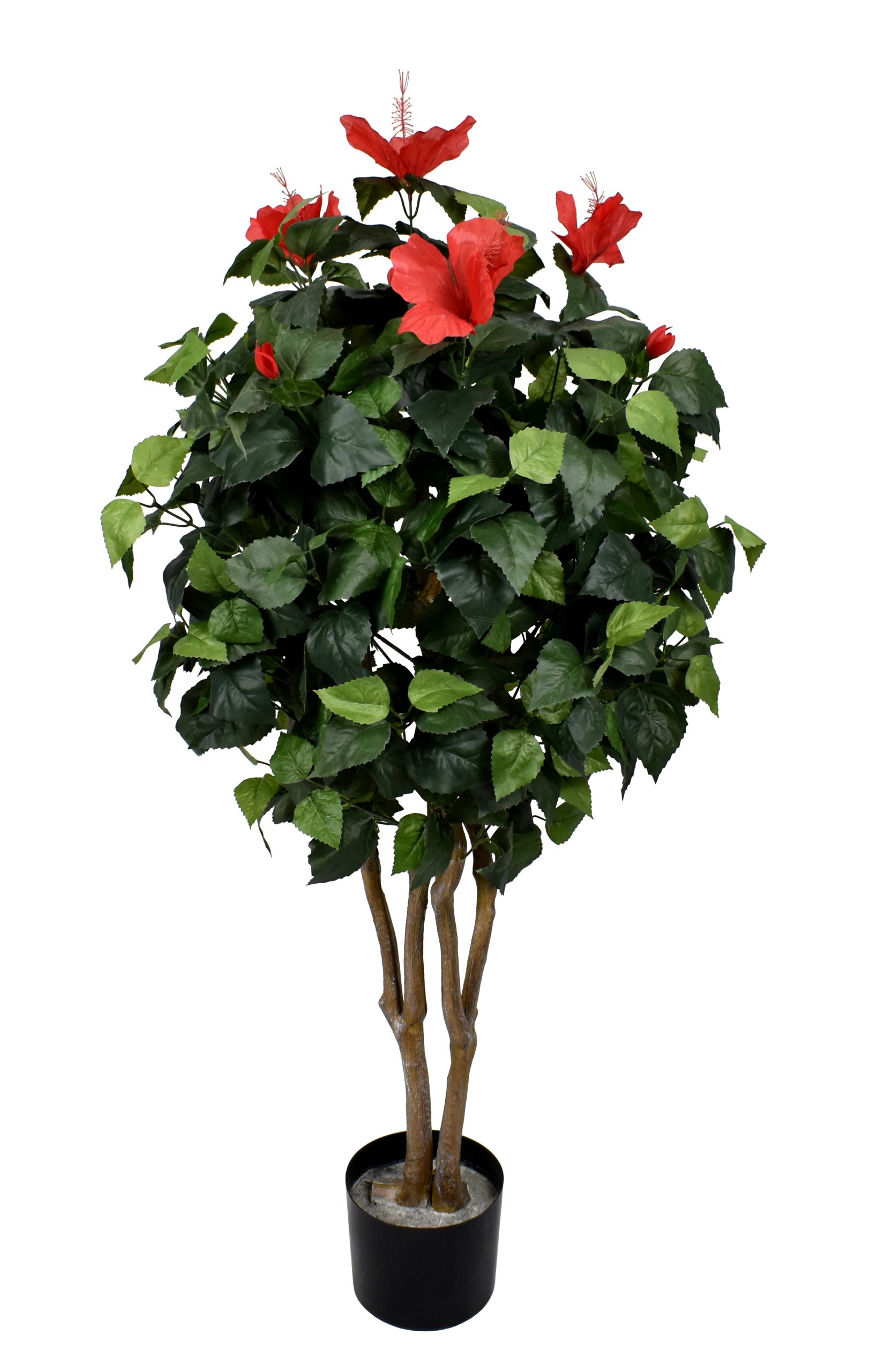 48″ Hibiscus Tree x2 w/476Lvs.7Flowers,