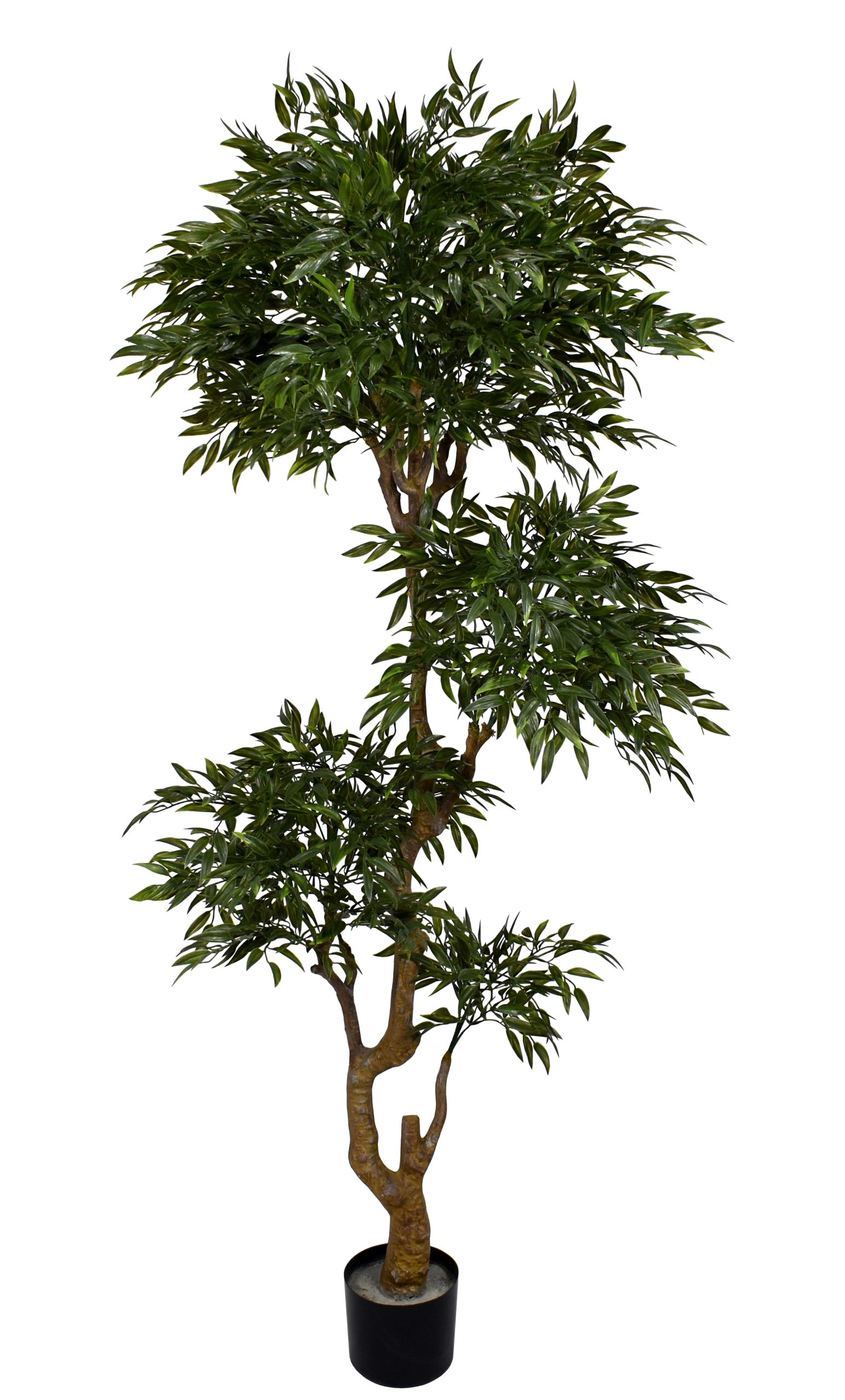 72″ UV Resistant Plastic Ruscus Tree x4 w/3300Lvs.