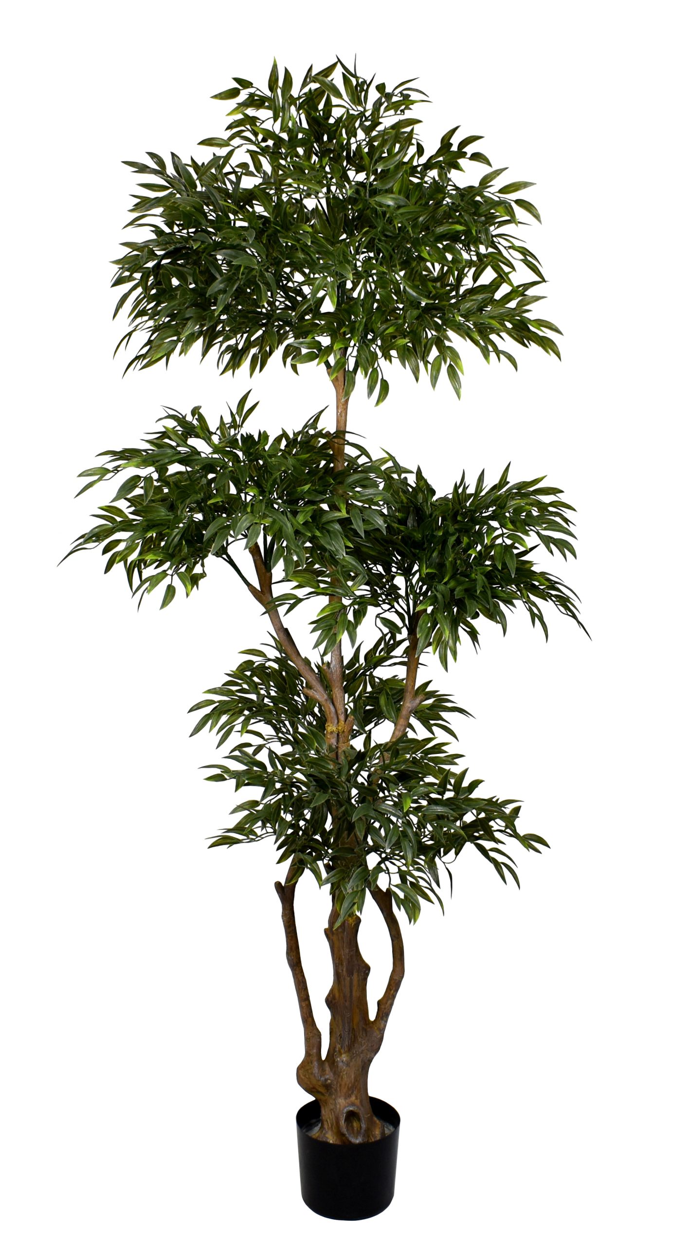 72″ UV Resistant Plastic Ruscus Tree x5 w/3000Lvs.