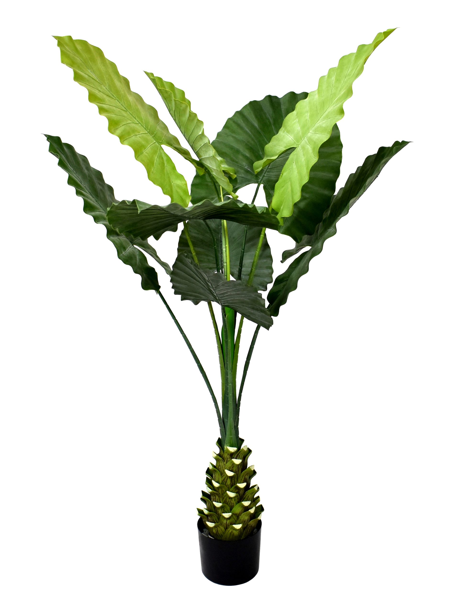 140CM Lows Alocasia Plant w/9Lvs.