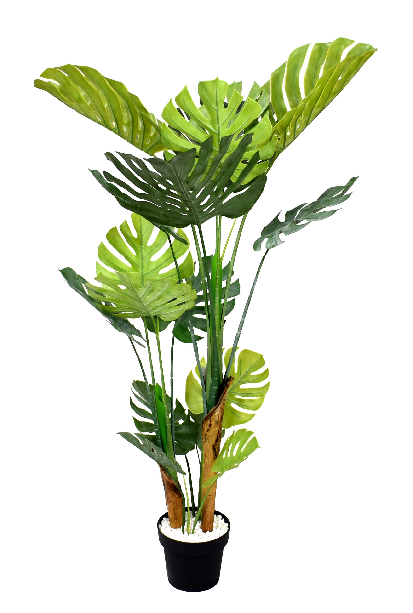 150CM Monstera Plant w/17Lvs.