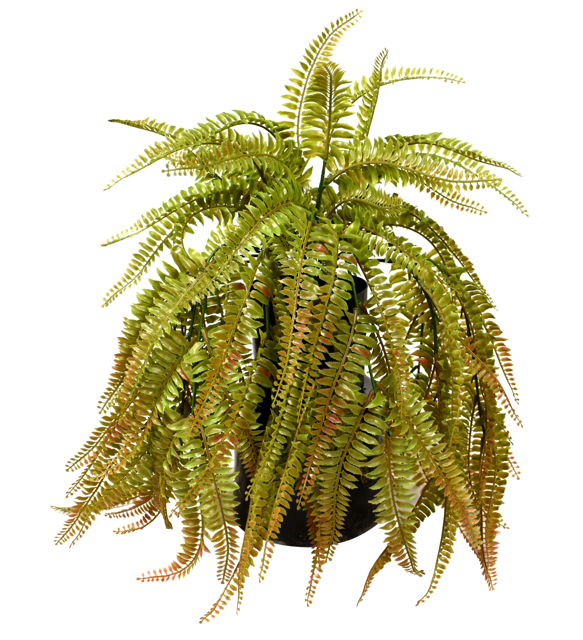 23″ UV Resistant Plastic Boston Fern Bush x18 w/102Lvs.