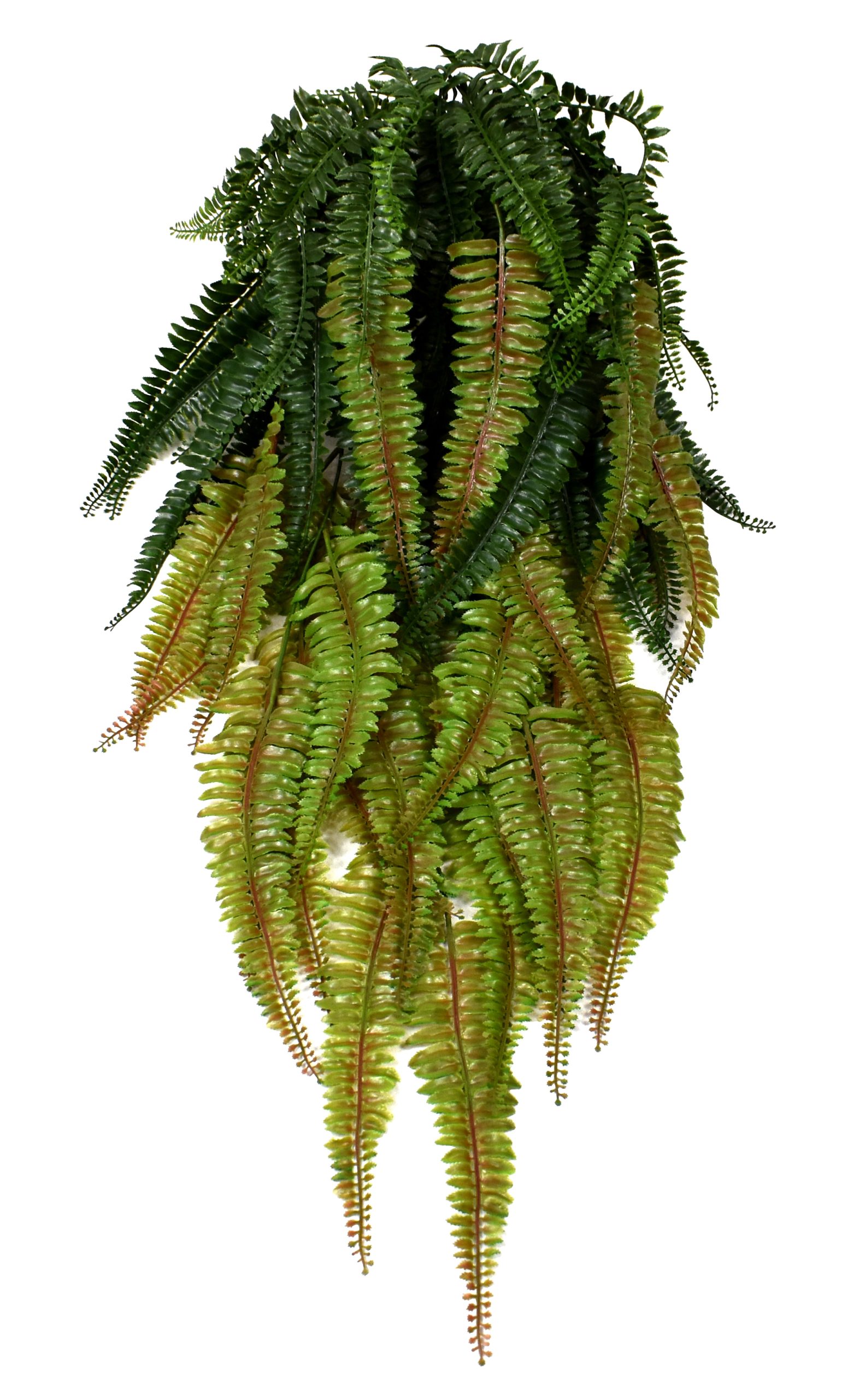 43″ UV Resistant Plastic Boston Fern Bush x13 w/104Lvs.