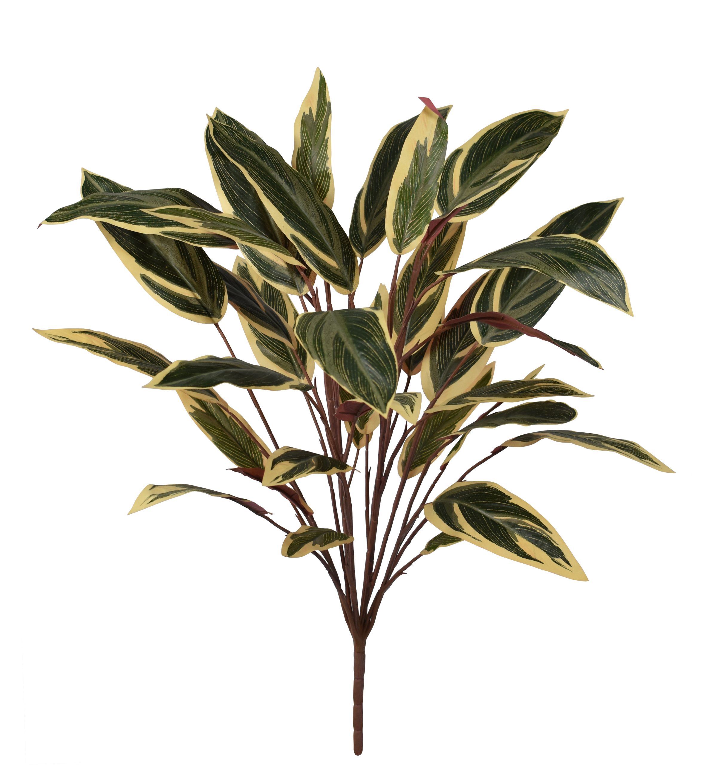 30″ Fire Retardant Caladium Bush with white edge x12w/36Lvs.