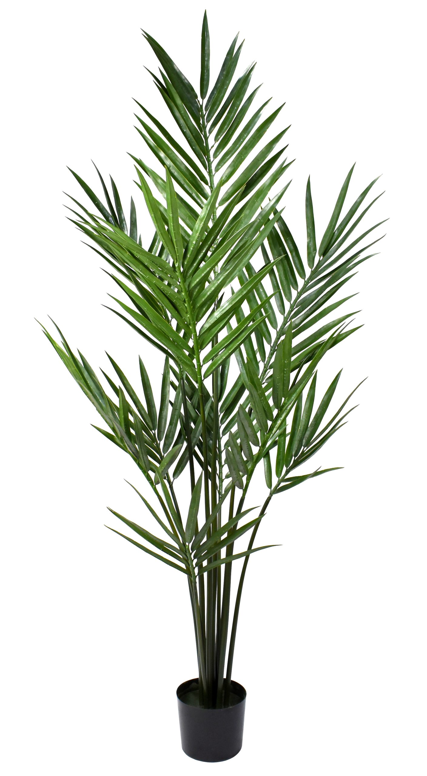 84″ UV Resistant Plastic Kentia Palm x10 w/172Lvs