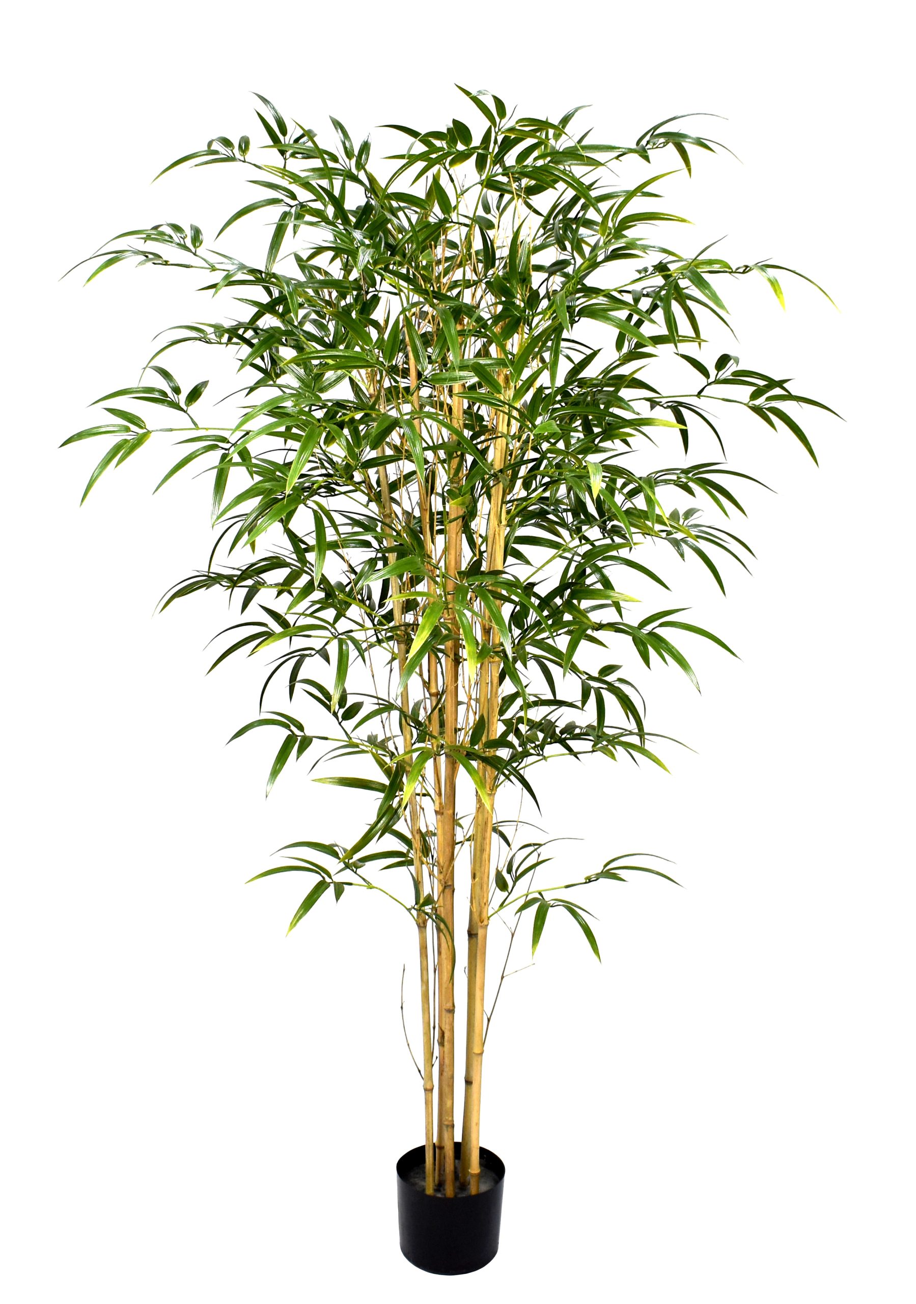 60″ UV Resistant Plastic New Green Bamboo Trees x6 w/856Lvs.