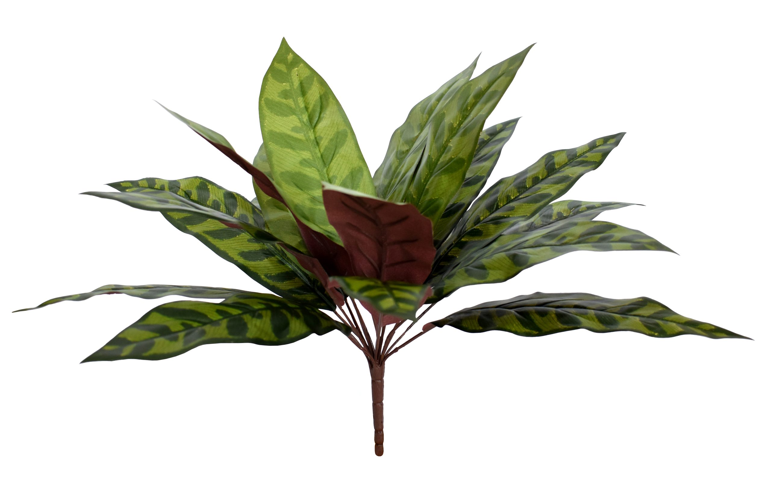 UV Resistant and Fire Retardant Big Peacock Bush x18w/18Lvs.