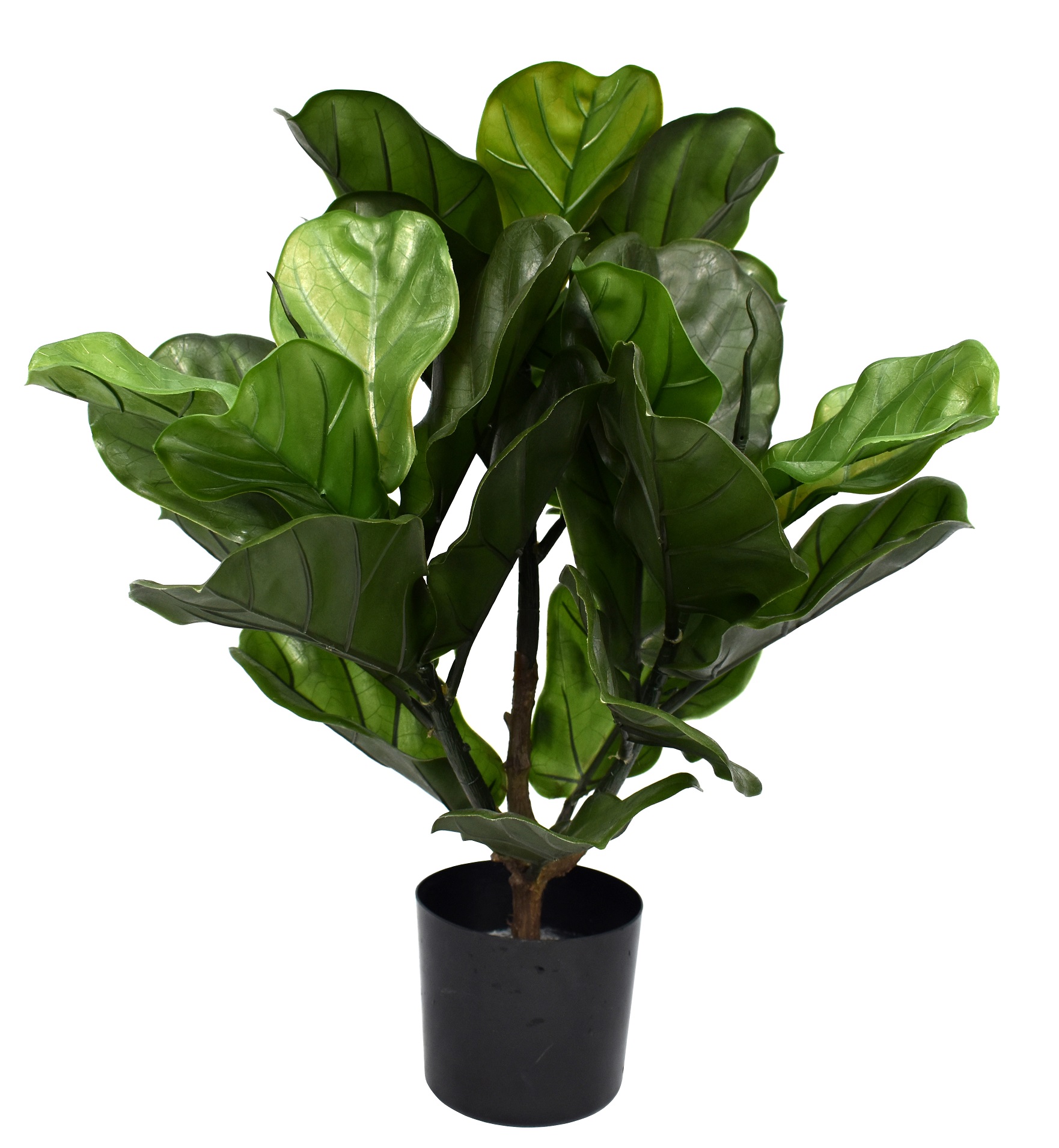 23.5″ UV Resistant Plastic Fiddle Tree w/27Lvs.in Pot(Twotone Green)