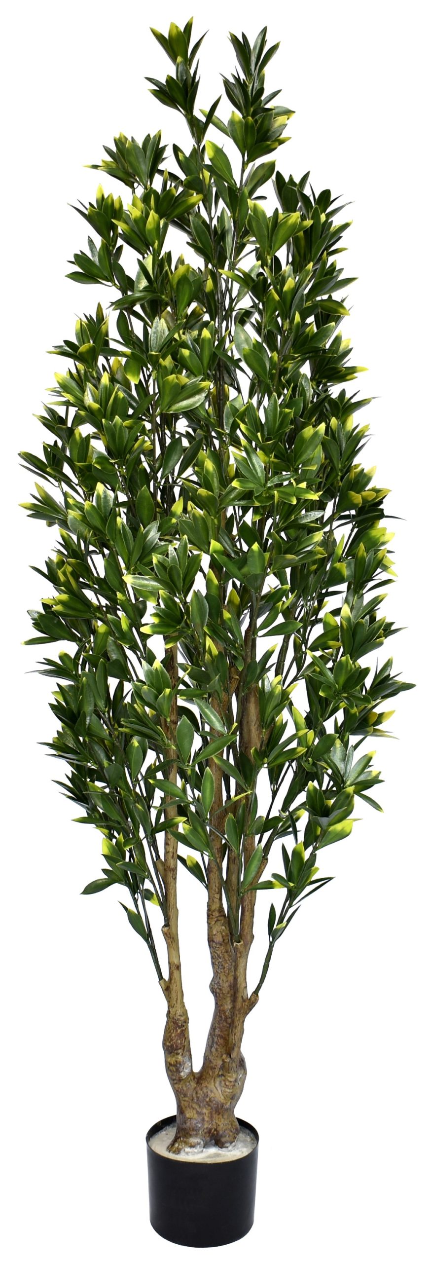 60″ UV Resistant Plastic Camellia Tree x4 w/348Lvs.on Plastic Trunk fixed in pot