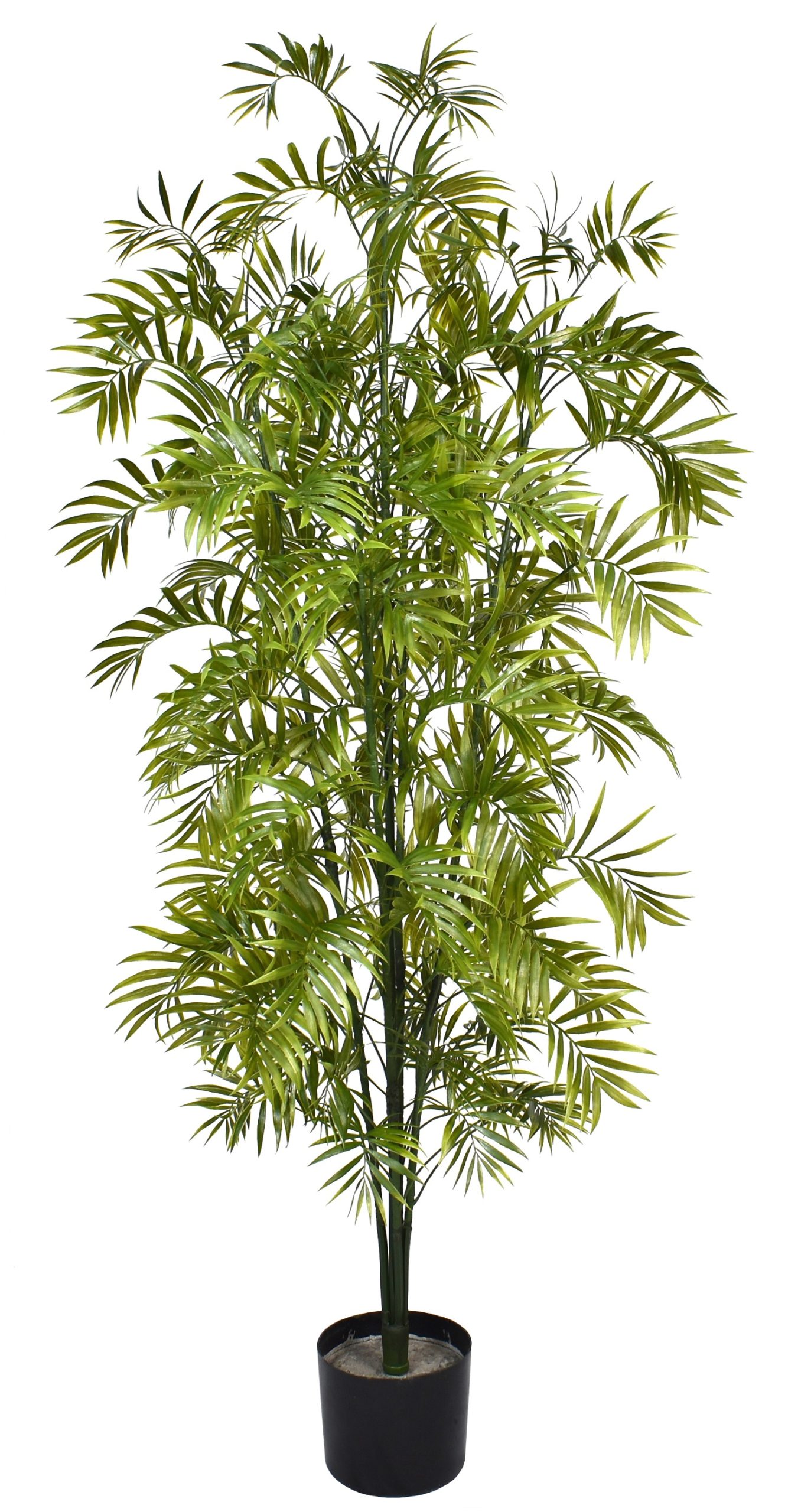 60″ UV Resistant Plastic Small Robellini Palm Tree x5 w/130Lvs.on Plastic Trunk fixed in pot