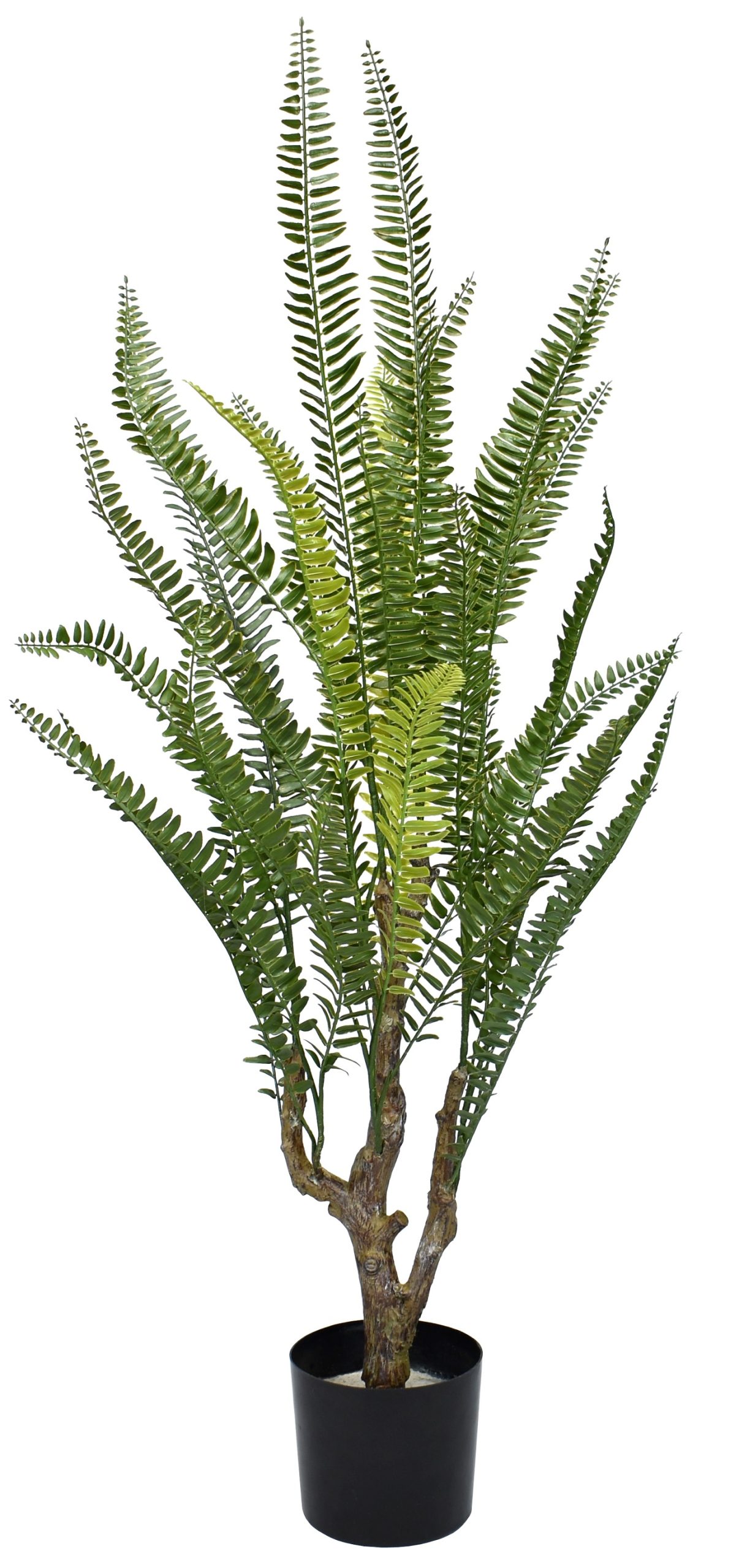 36″ UV Resistant Plastic Boston Fern w/32Lvs.on Plastic Trunk fixed in pot