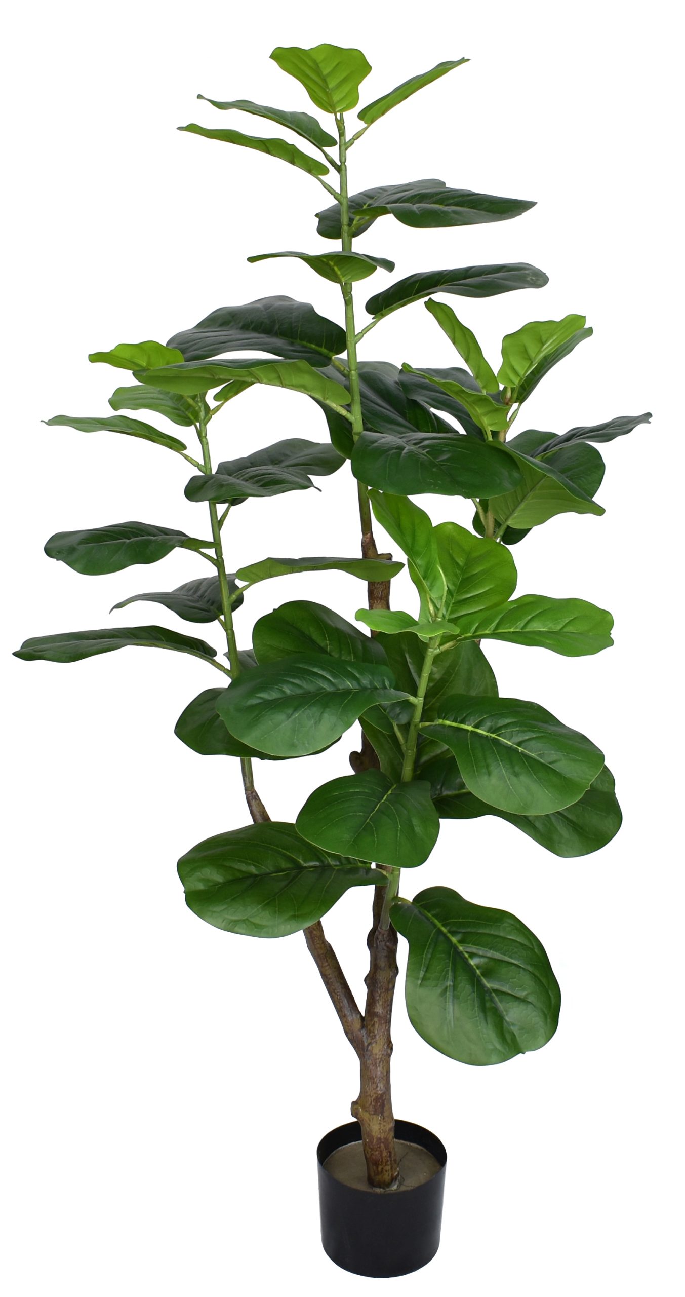 54″ Plastic Film Fiddle Tree x4 w/45Lvs.on Plastic Trunk fixed in Pot