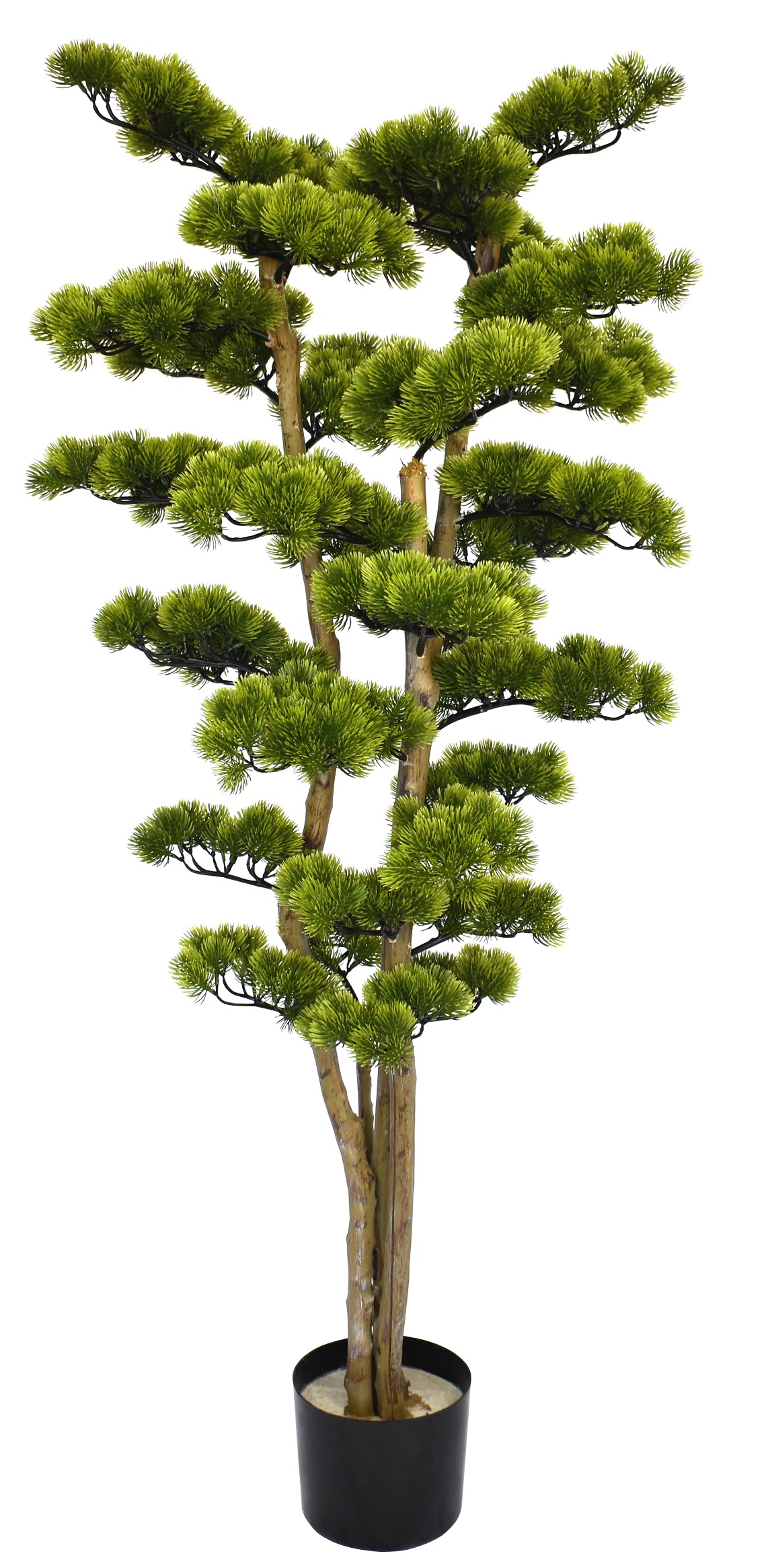 54″ UV Resistant Plastic Pine Needle Cypress Topiary x4 w/1215Lvs.on Natural Trunk fixed in Pot