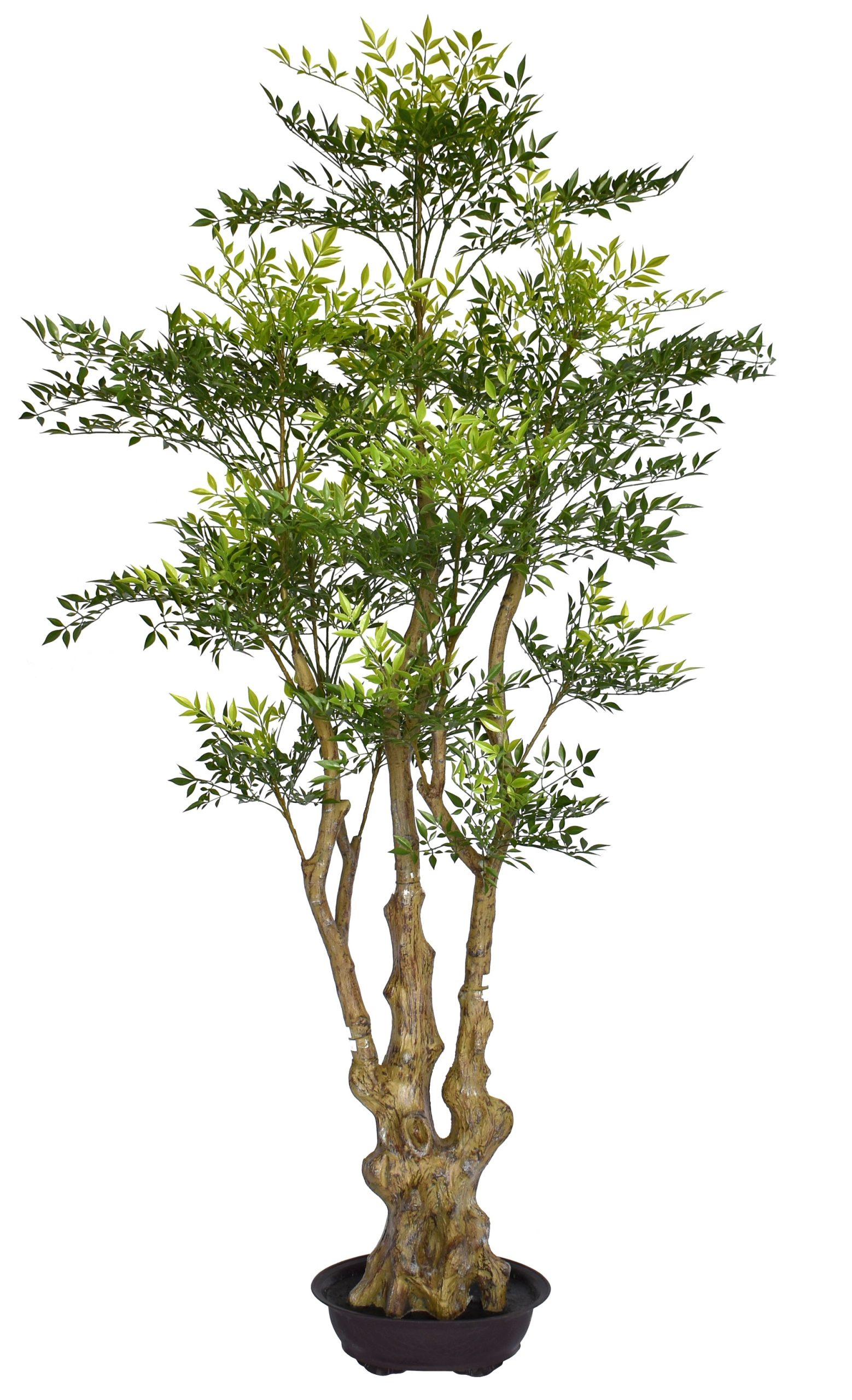 72″ Plastic Film Nandina Tree x3 w/7356Lvs.on Plastic Trunk fixed in pot